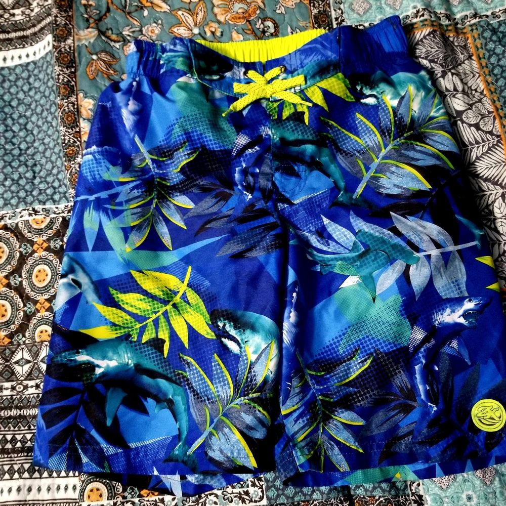 ZeroXposur Neon Green and Gray Swim Shorts